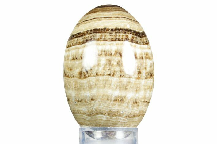 Swirling Polished Chocolate Calcite Egg - Pakistan #350176